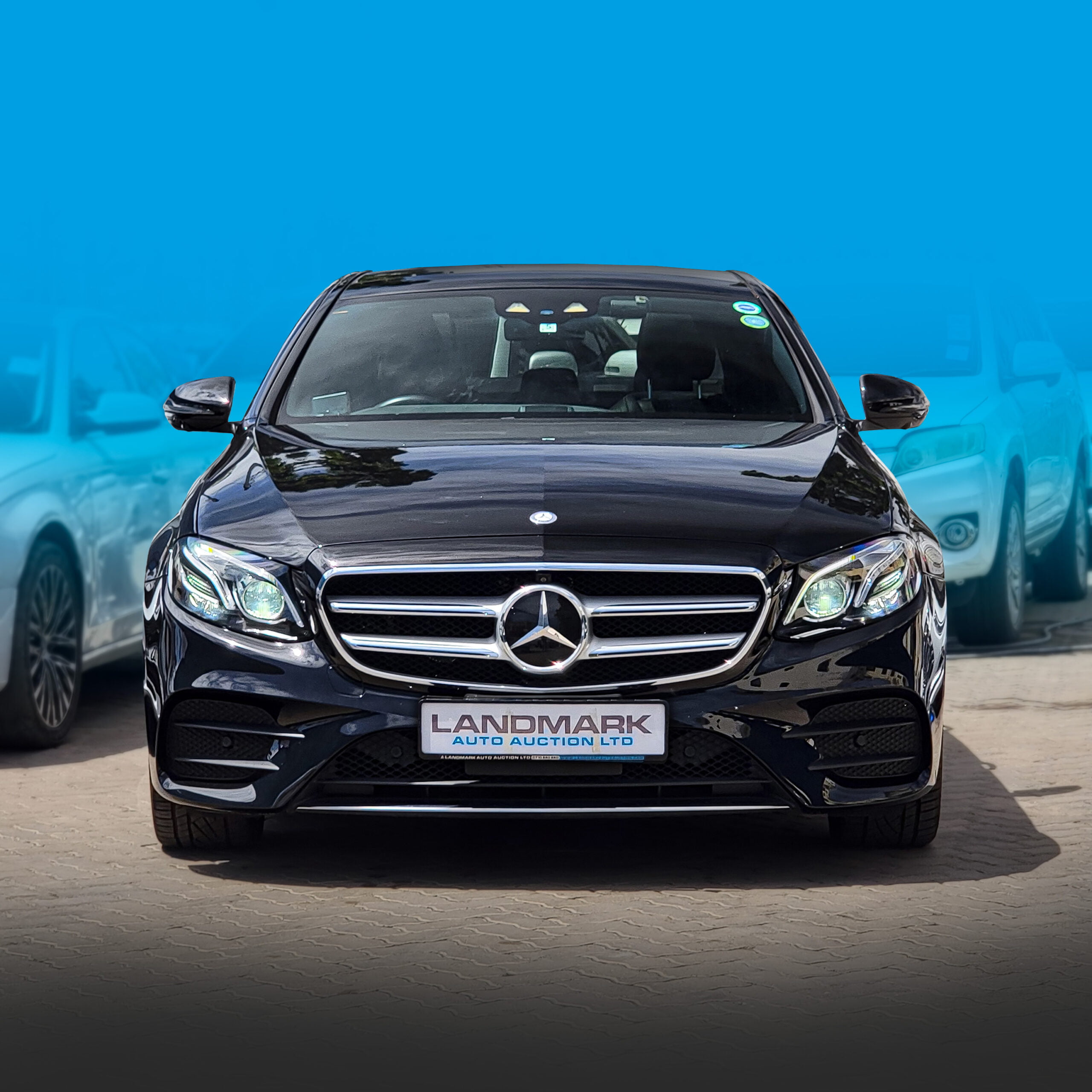 First Image – Edit First Image Edit 3 scaled