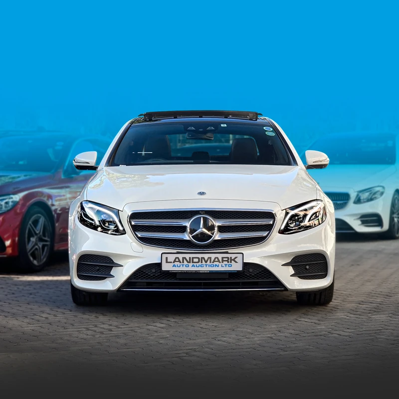 Image01First Image E250