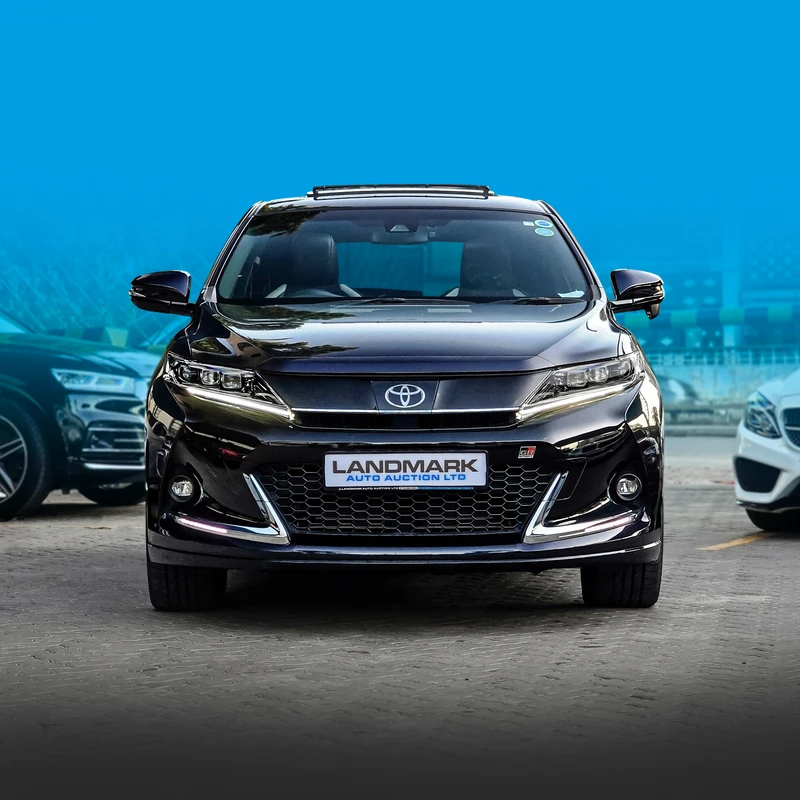 Image02First Image Harrier GR