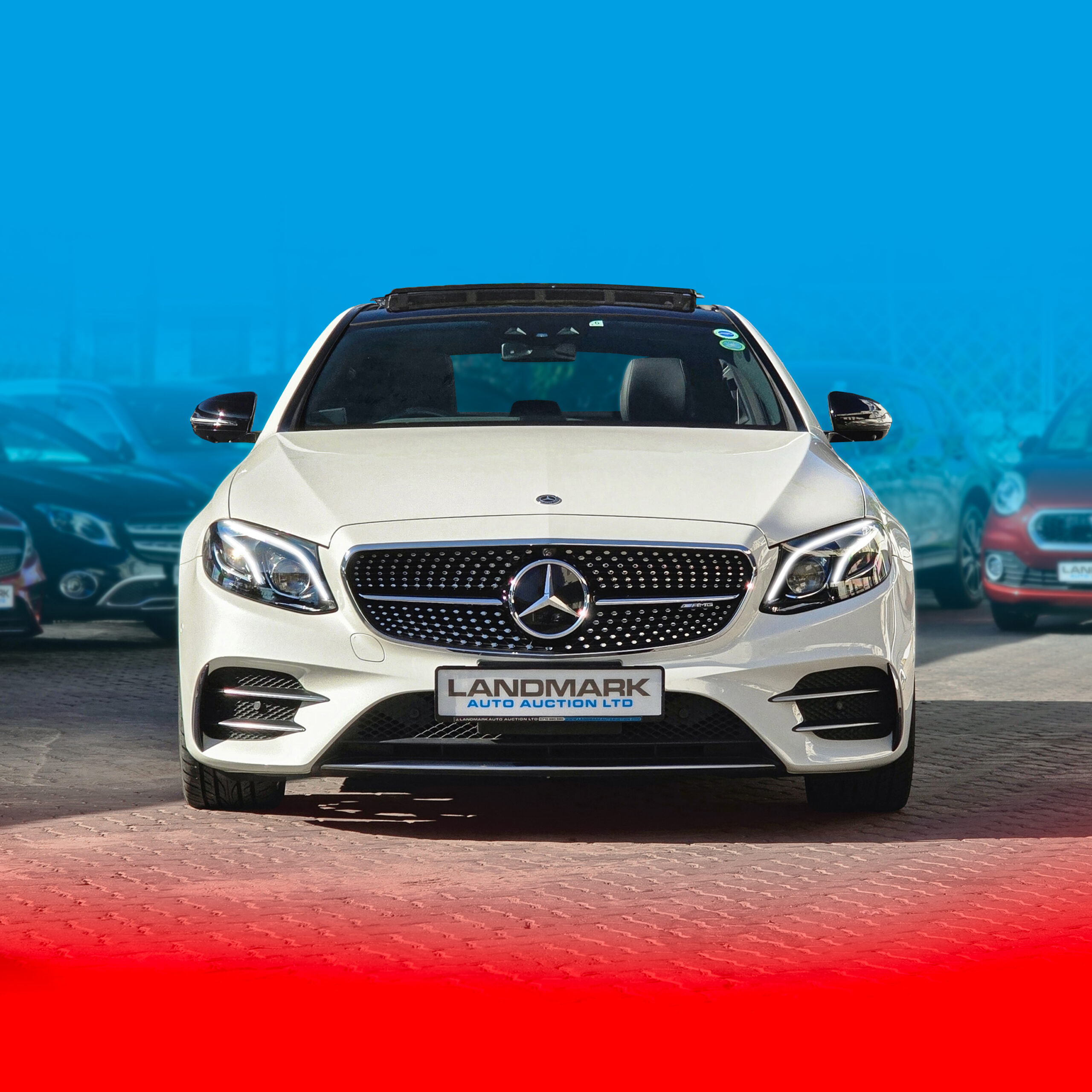 First Image For Website scaled